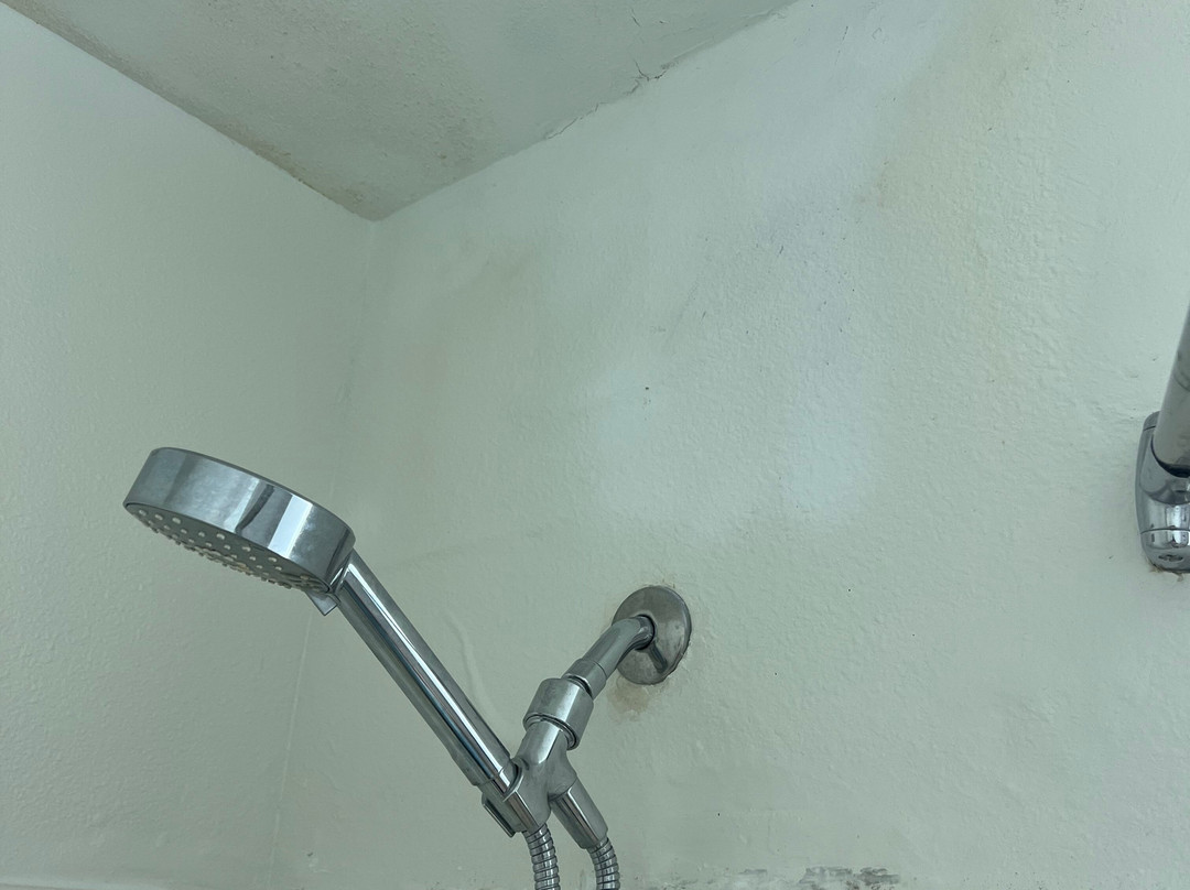 Marshall Suites Bainbridge Island, SureStay Collection by BW主图