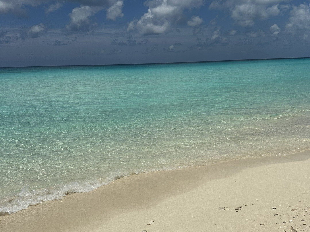 Bimini Cove Resort & Marina主图