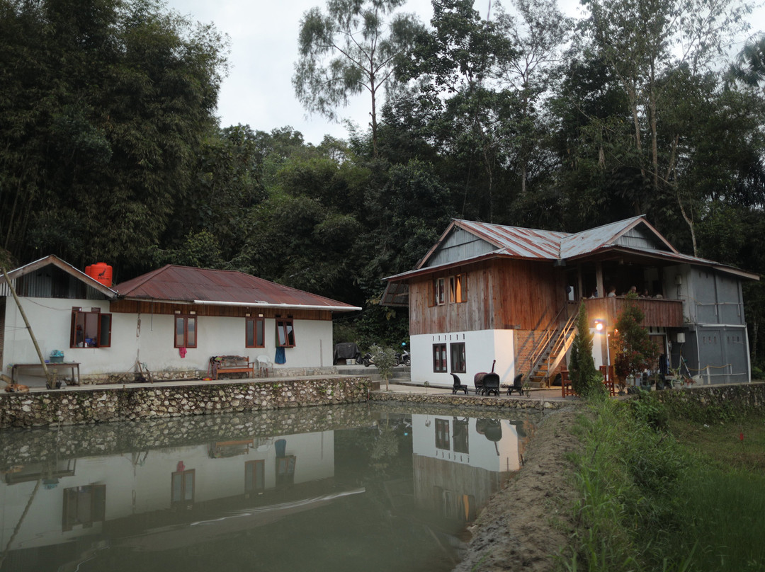 Mama Tia Homestay主图