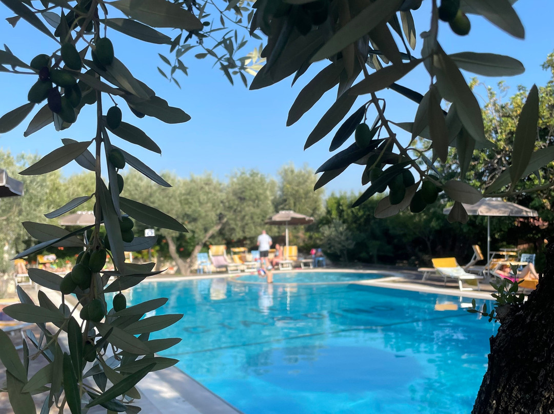 Albergo Il Giardino主图
