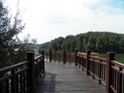 北斗湾开元酒店主图