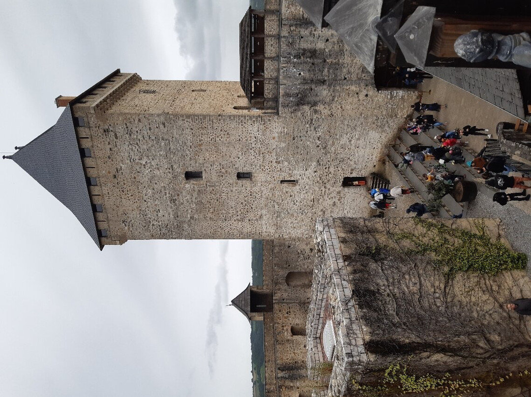 Chateau de Mauvezin景点图片
