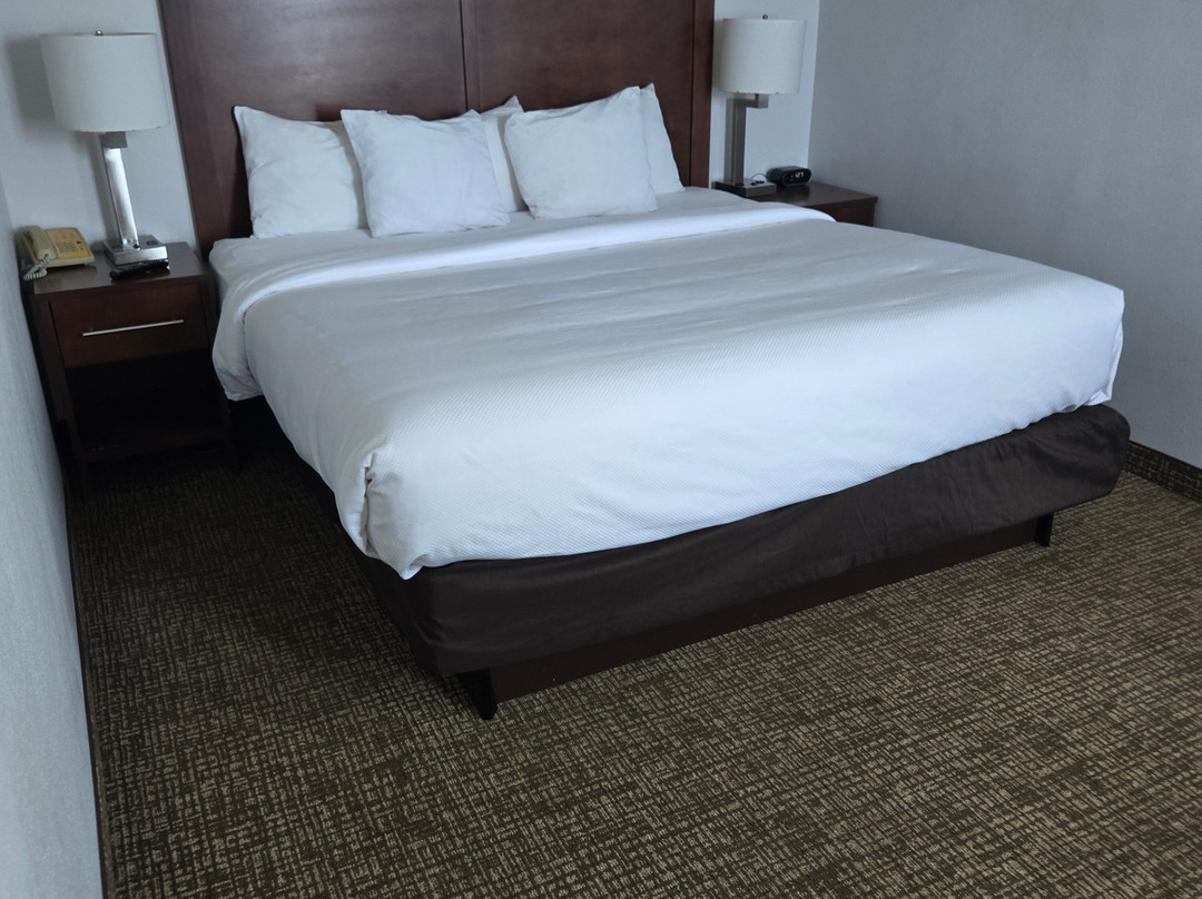 Comfort Suites Baymeadows Near Butler Blvd主图