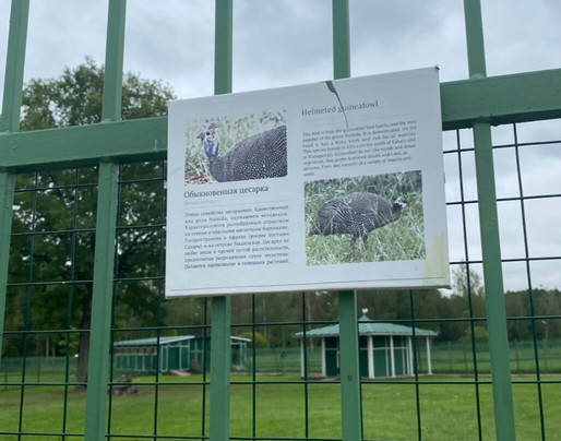 Zverinets-Lomonosov必去景点