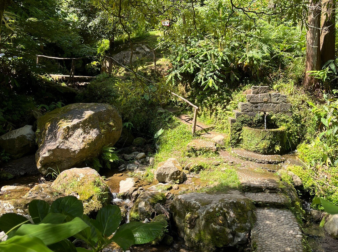 Cascata do Porto Formoso