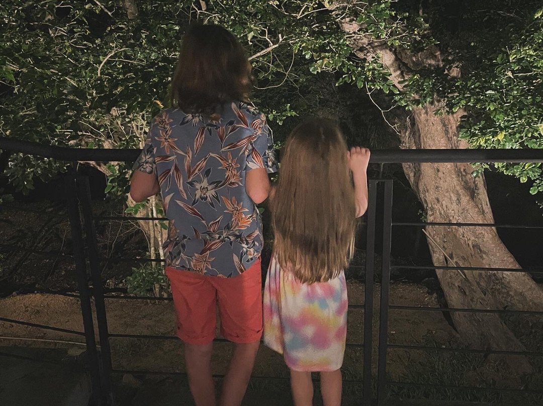 阿里卡精品别墅酒店主图