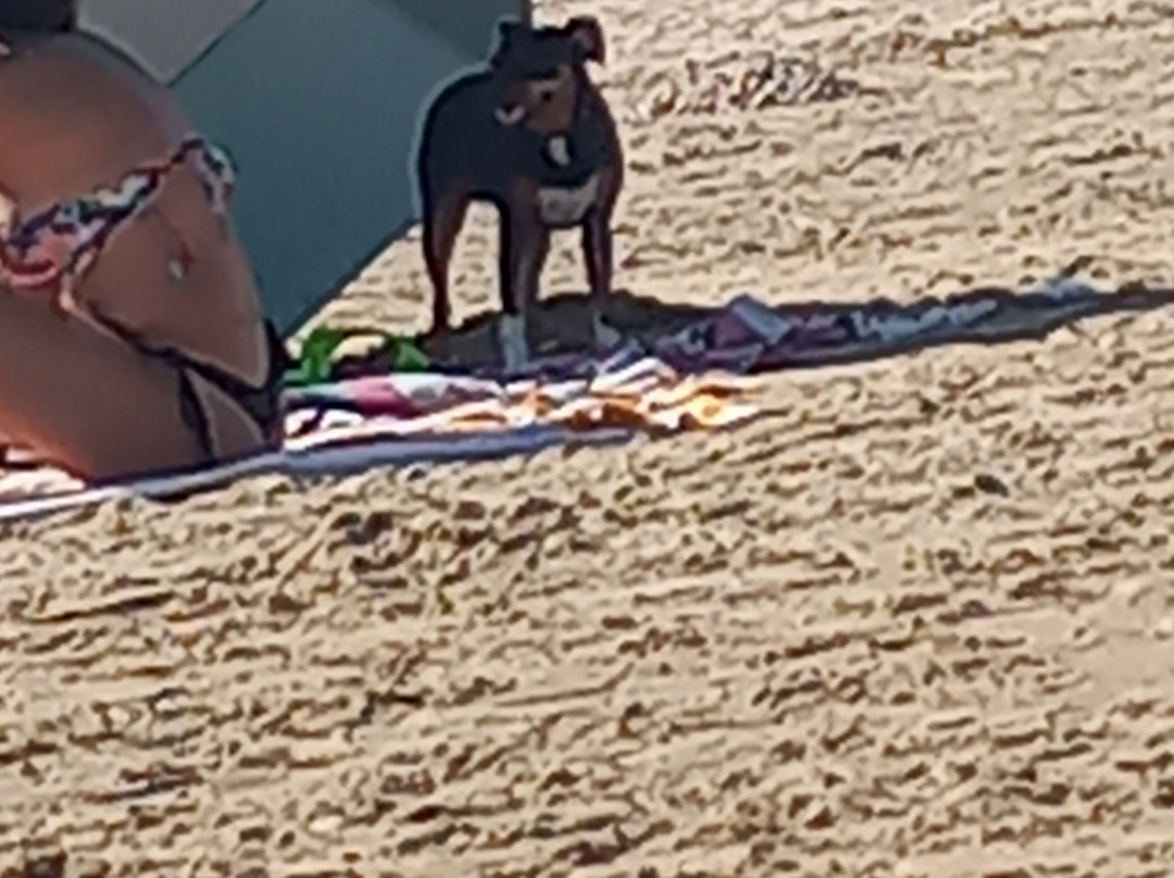 Playa de El Portil-韦尔瓦必去景点