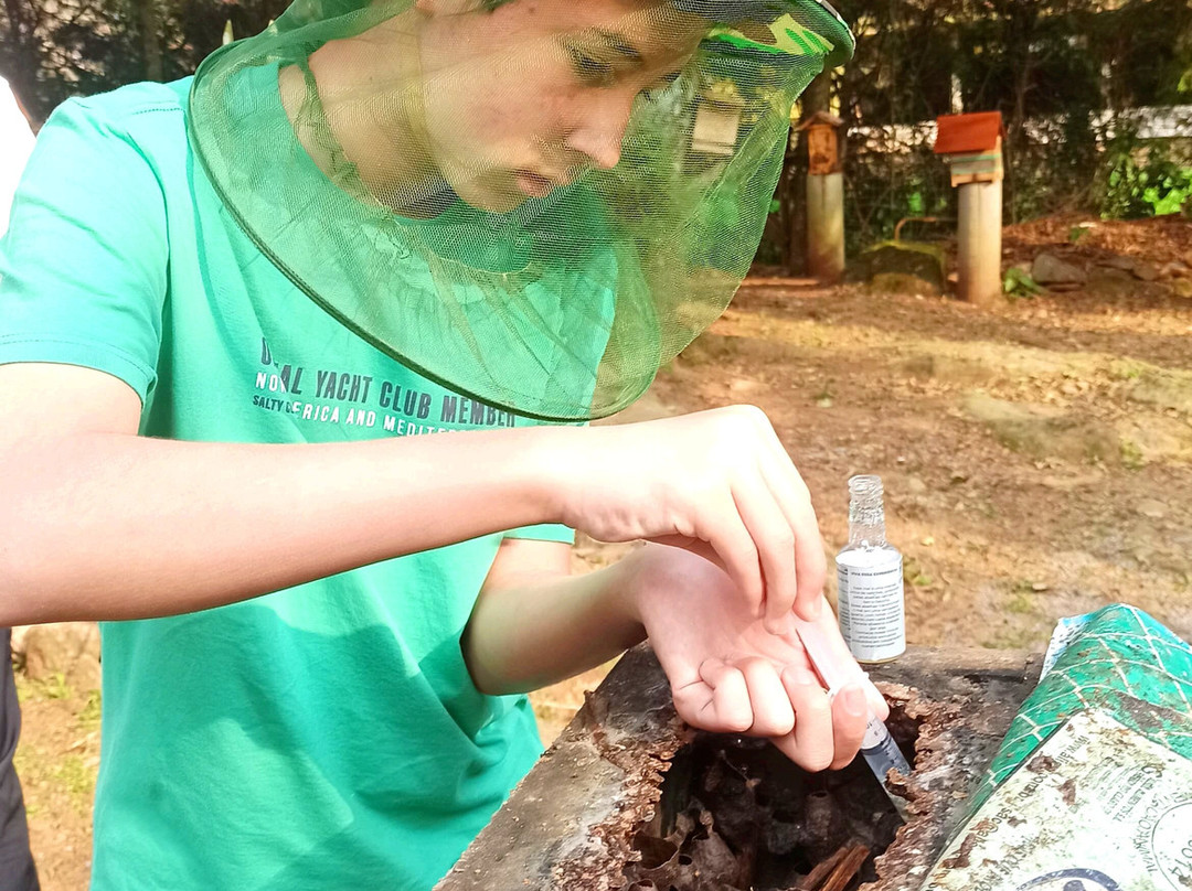 Experiências Da Colônia-Nova Petropolis必去景点