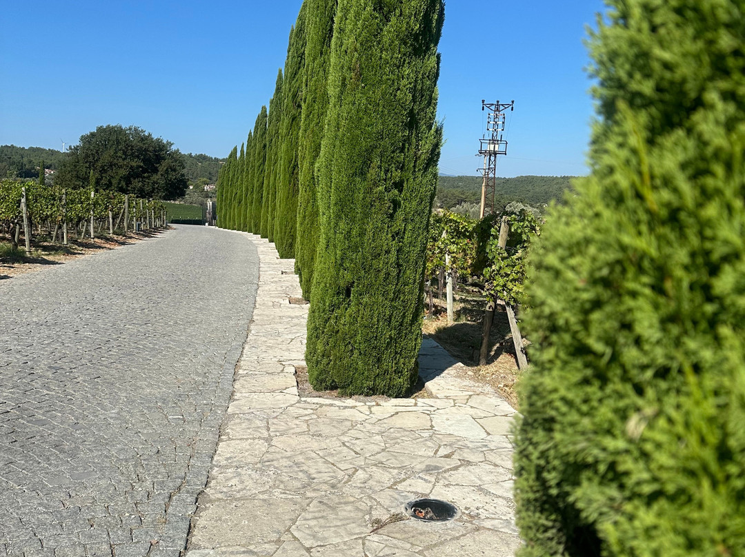 Urla Winery景点图片