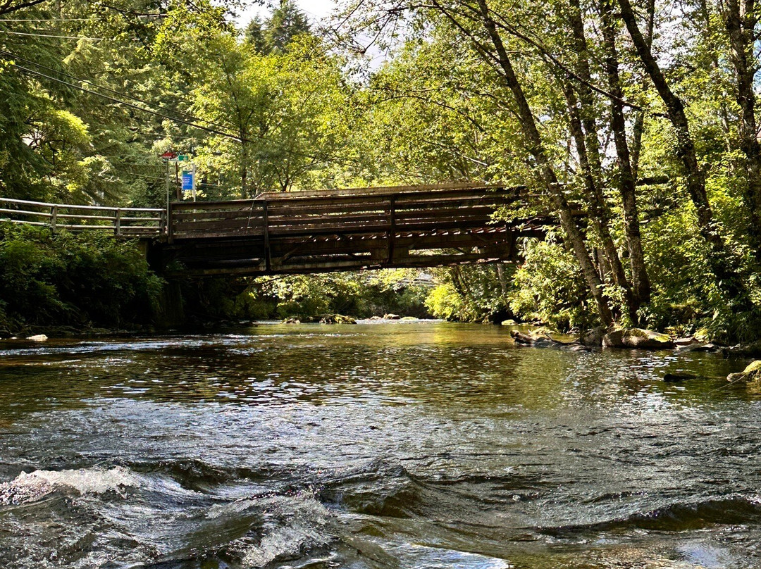 Ketchikan creek and falls-凯奇坎必去景点