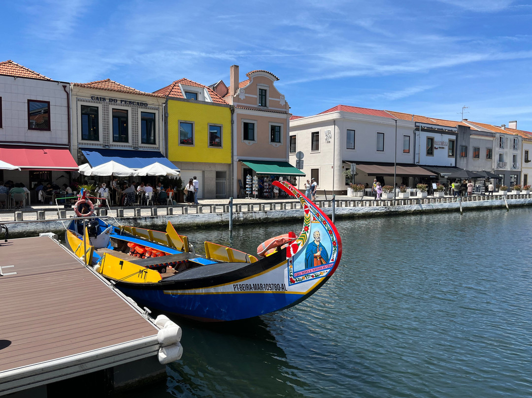 Canal Central de Aveiro景点图片