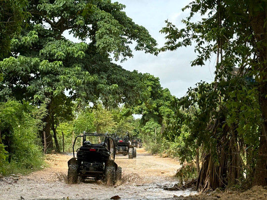 Yay Punta Cana-蓬塔卡纳必去景点