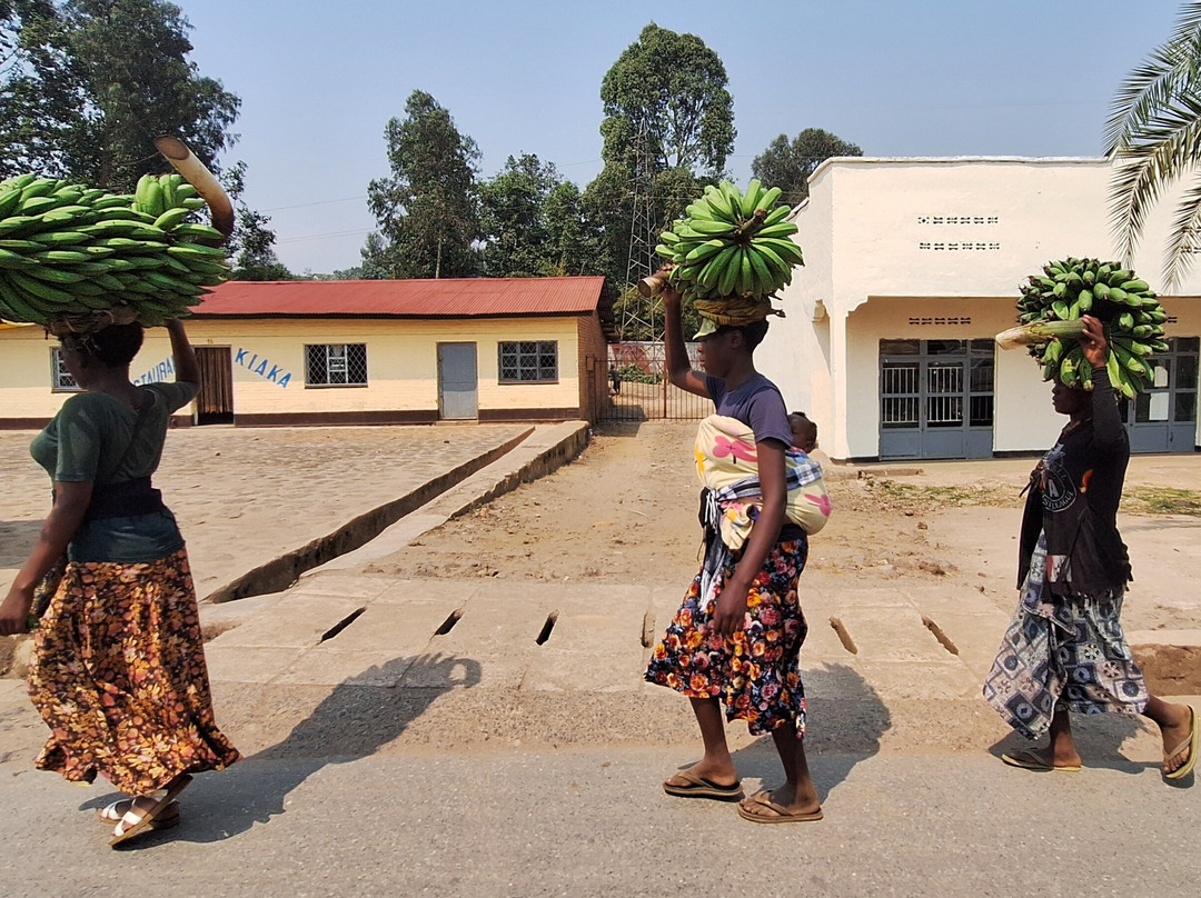 Serenity adventure safaris-吉佳利必去景点