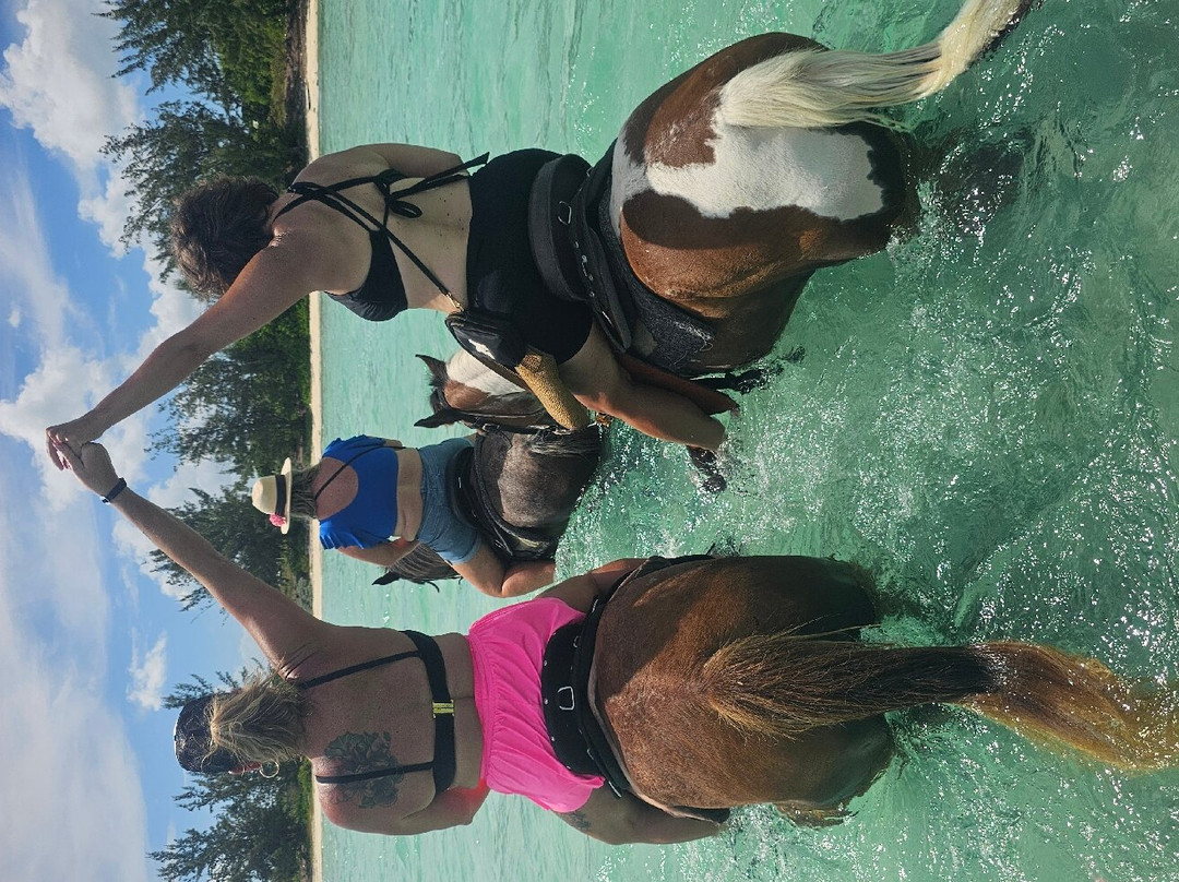 Heritage Tours & Horseback Riding-普罗维登西亚莱斯必去景点