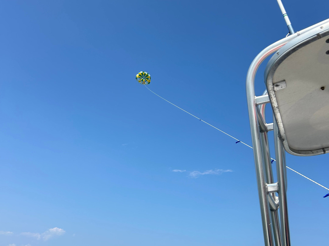 Beach Haven Parasail景点图片