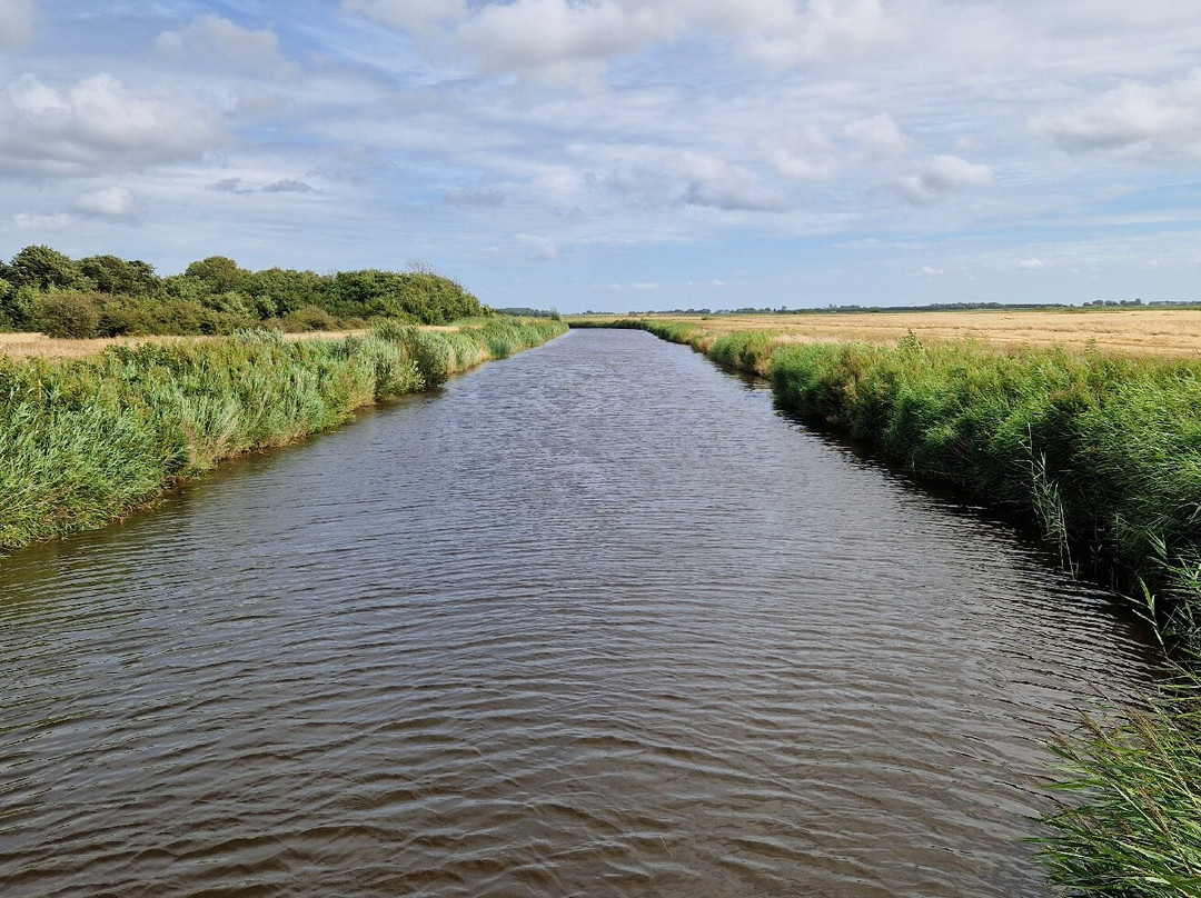 Natuurcentrum De Marel-De Waal必去景点