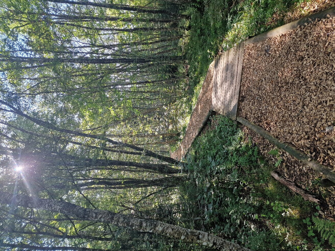 The educational Peat Route-Les Ponts-de-Martel必去景点