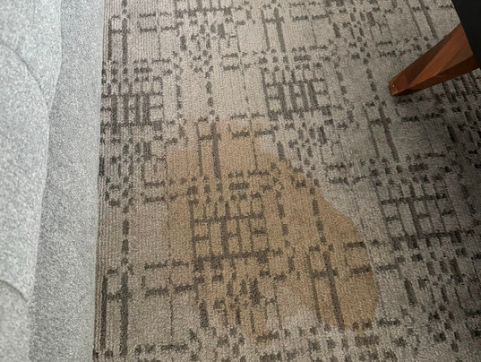 Le Méridien Atlanta Perimeter主图