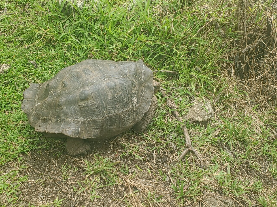 Asilo de la Paz-Floreana必去景点
