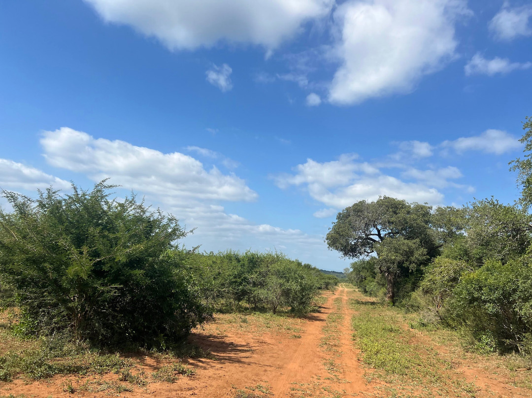 Mkhaya Safaris-曼耶雷蒂必去景点