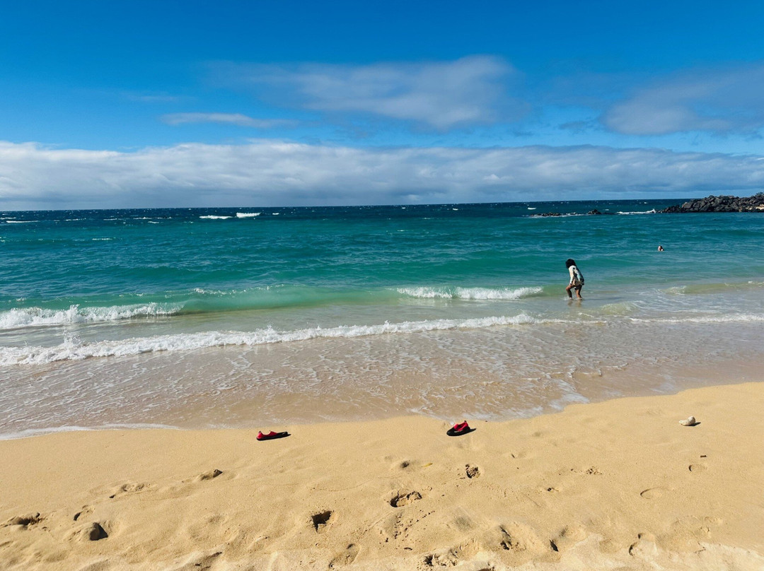 HA Baldwin Beach Park-芭雅必去景点