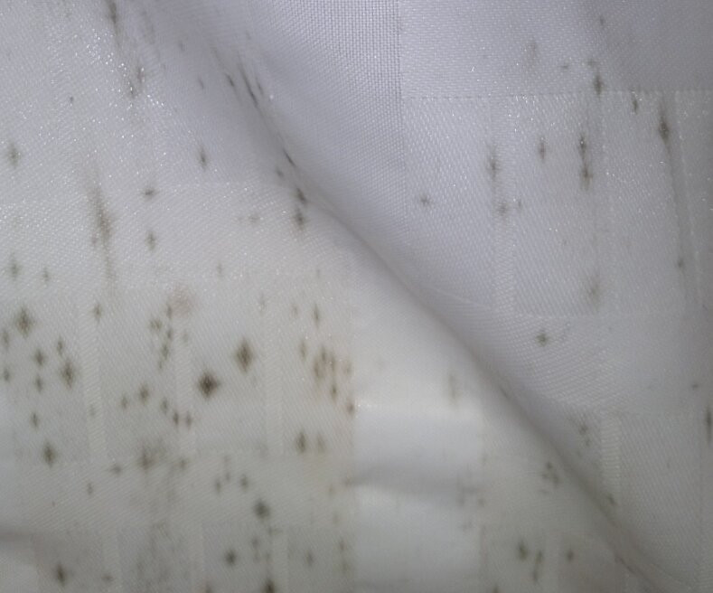 Fenwick Islander Motel主图