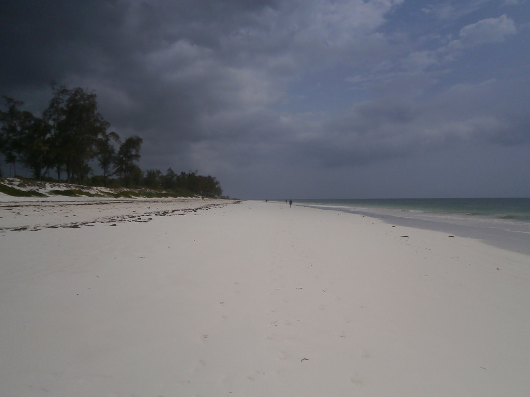 Kilifi Bay Beach Resort主图