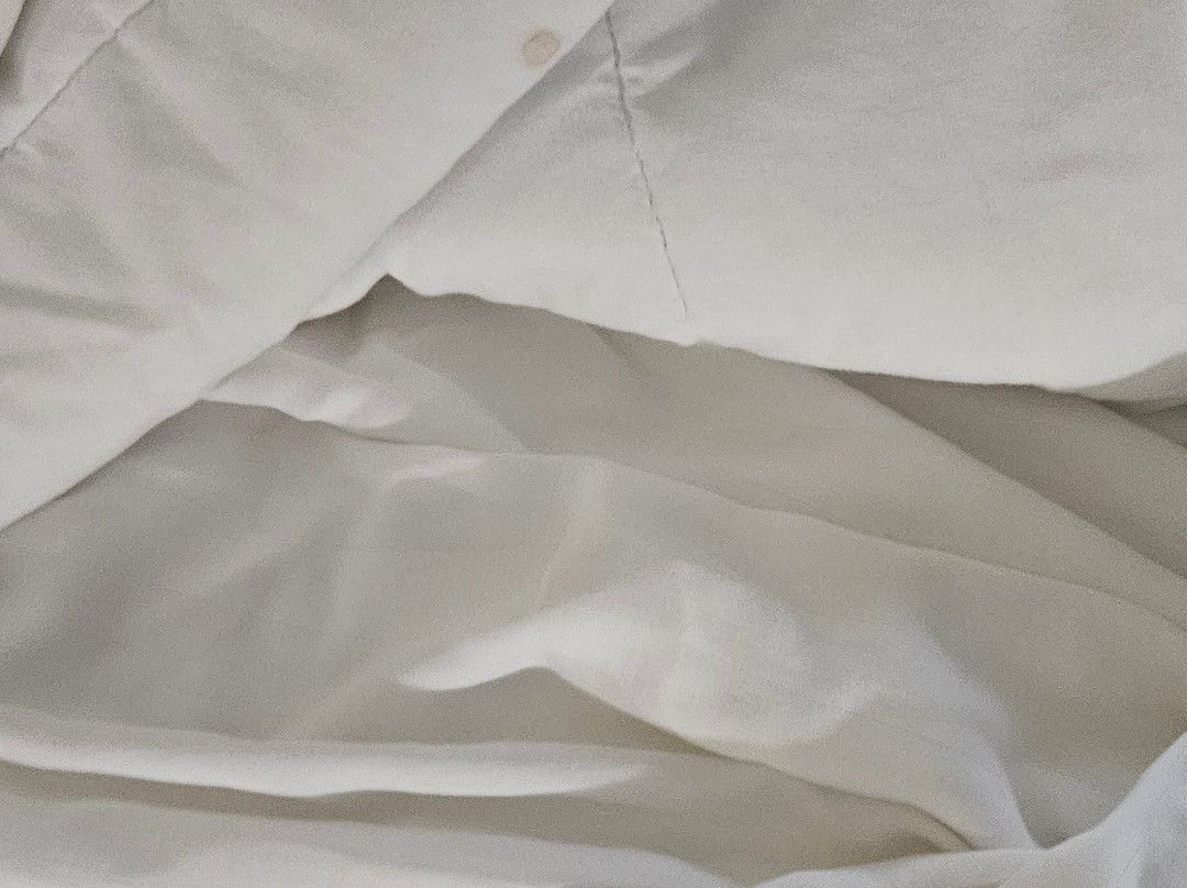 Best Western Owego Inn主图