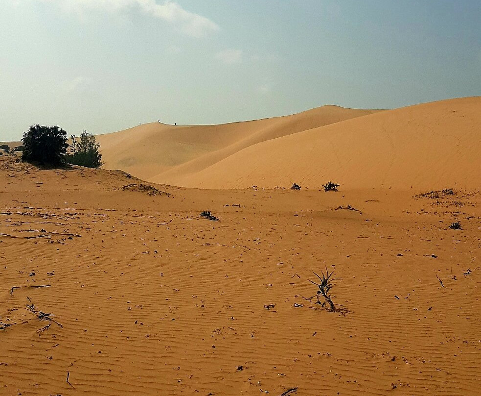 Parque Nacional de Bazaruto景点图片