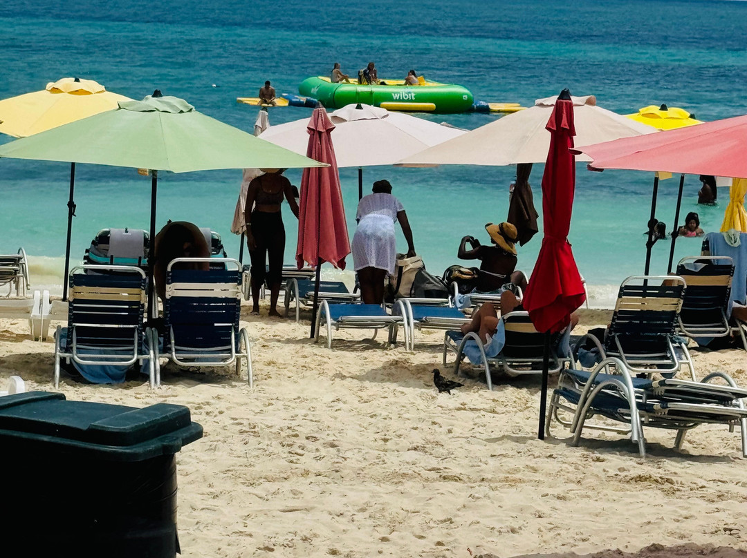 3B's Taxi Tours & Transportation Services-弗里波特必去景点