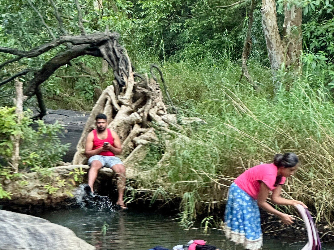 Avukana Buddha Statue-Kekirawa必去景点