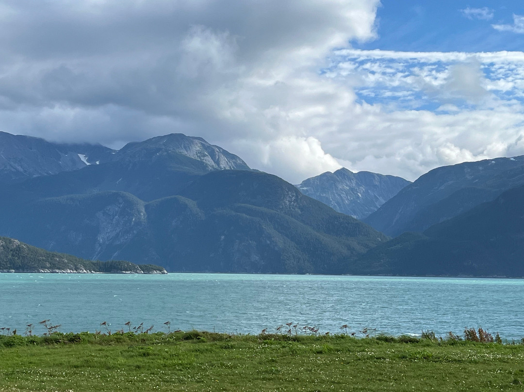 Sheltered Harbor主图