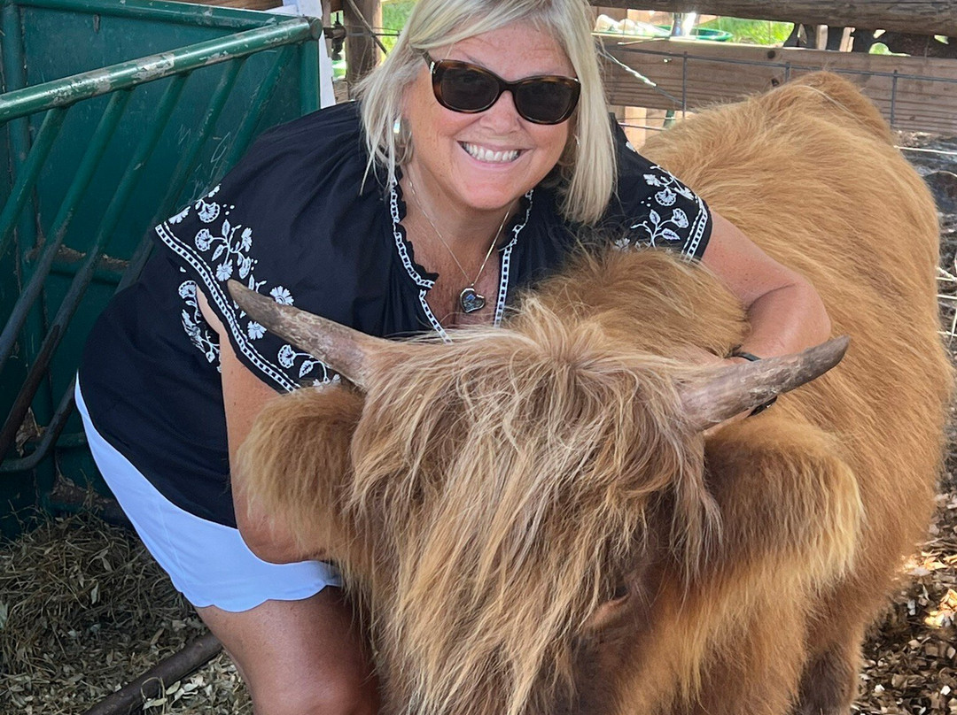 Rooterville Animal Sanctuary-Melrose必去景点