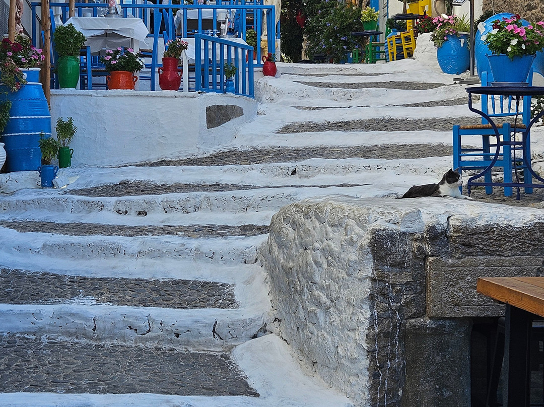The White Steps Of Kos-Kos Town必去景点