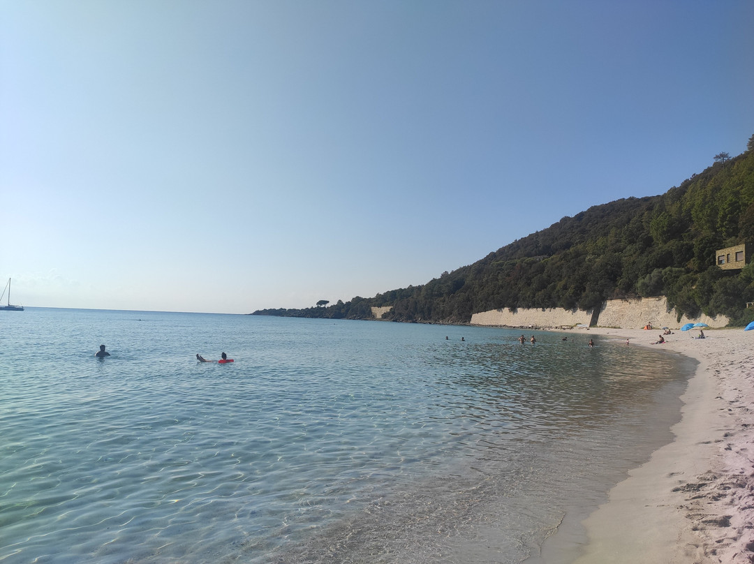 Plage de Canella景点图片