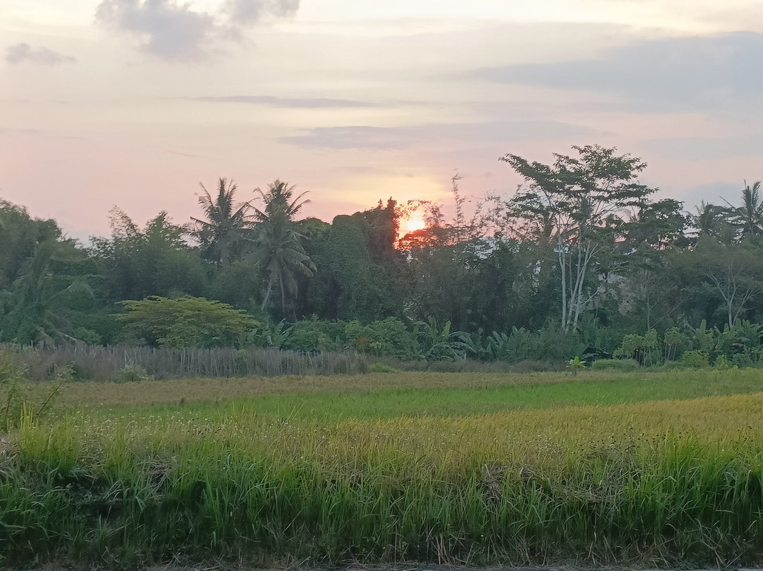 Kaleidoscope of Java Tour-日惹必去景点