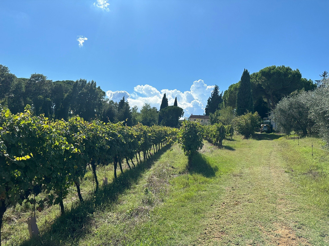 Poggio al Bosco景点图片
