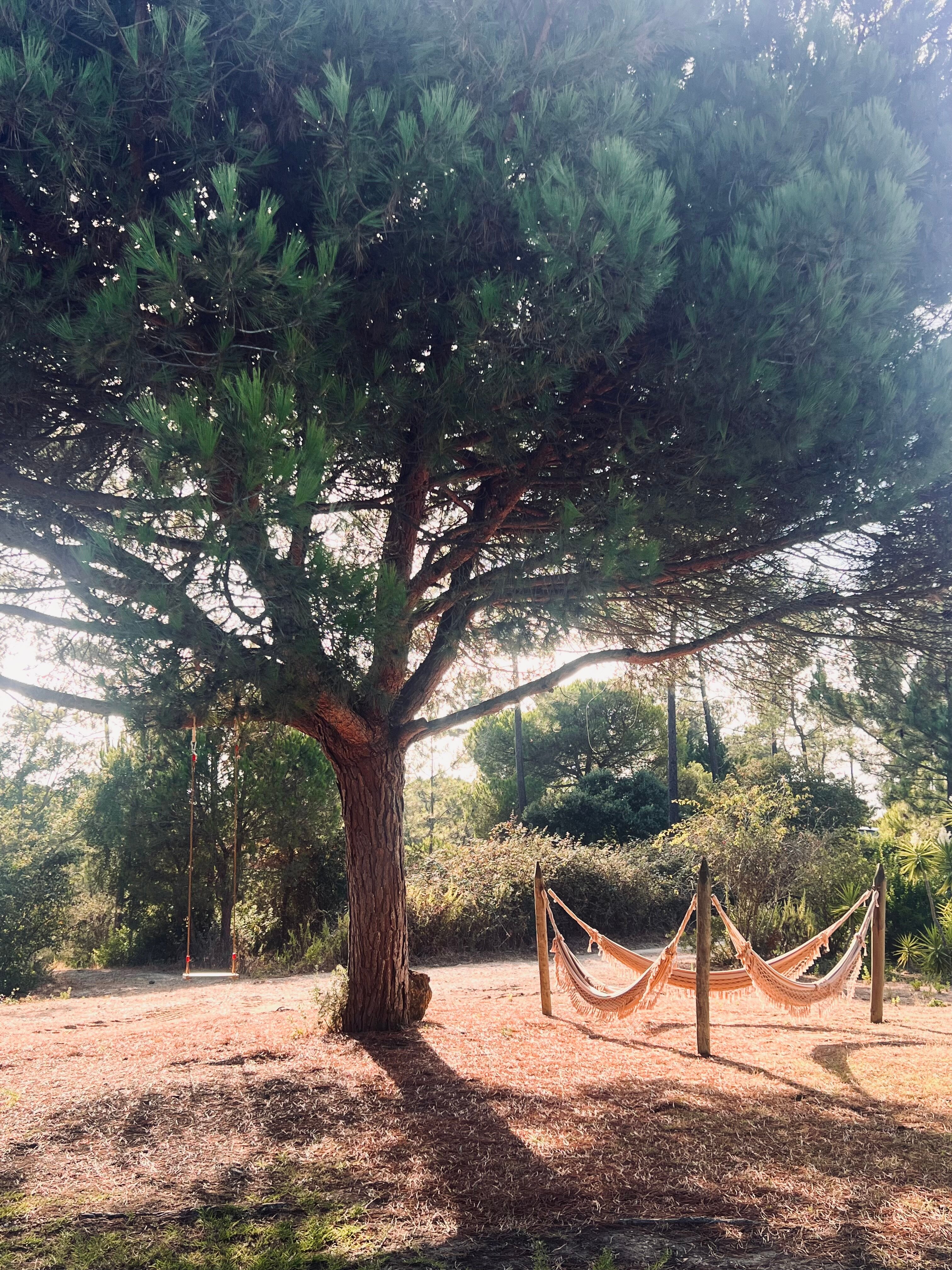 Casal Do Frade-官方