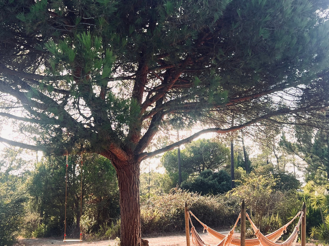 Casal Do Frade主图