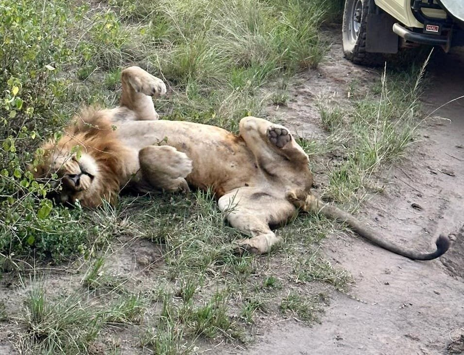 Rwizi Africa Expeditions-坎帕拉必去景点