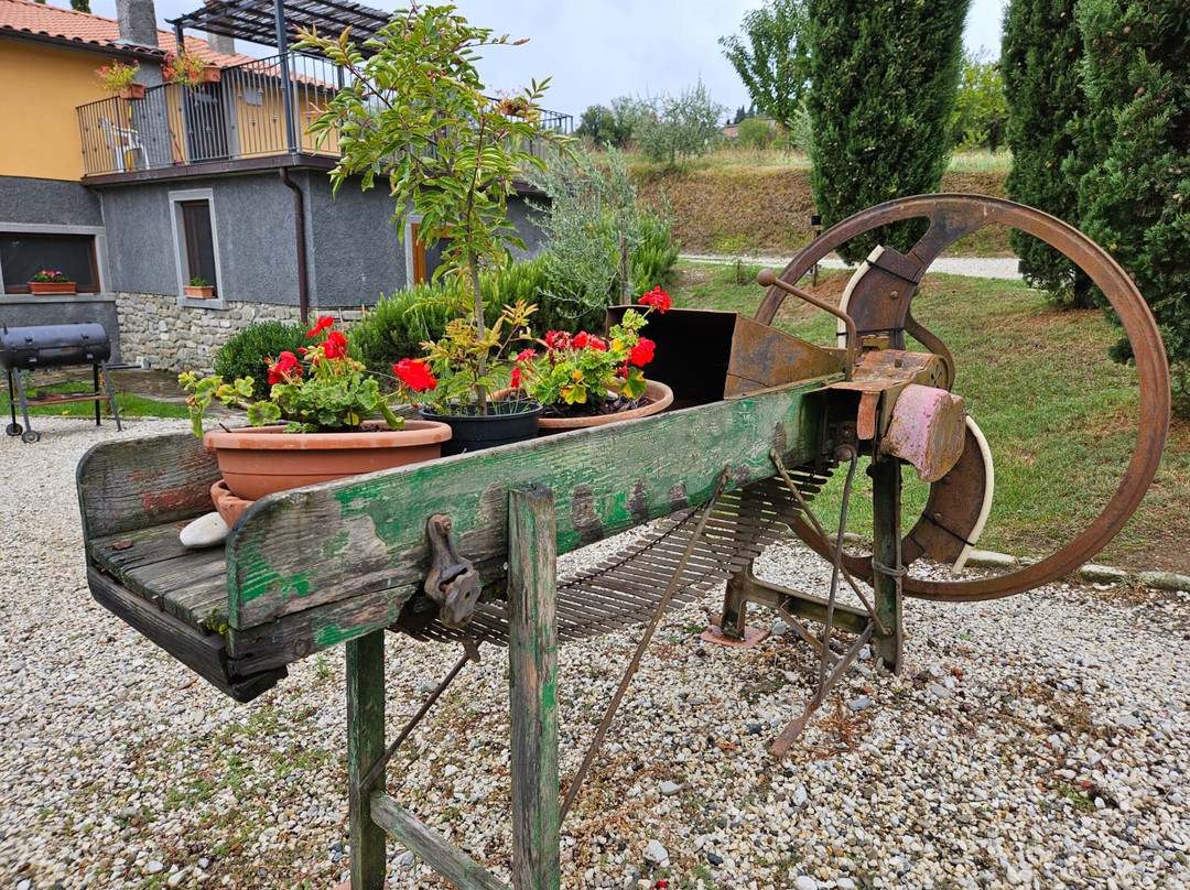Agriturismo La Casina主图