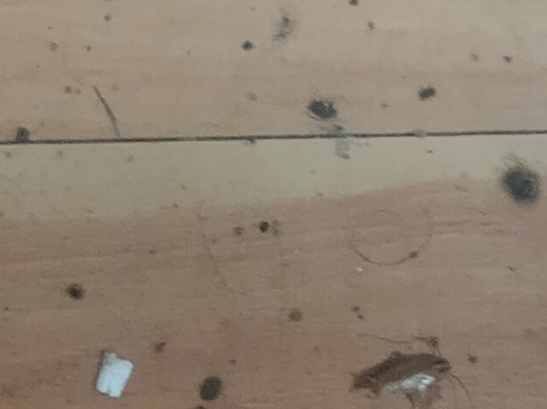 Red Roof Inn Bay Minette主图