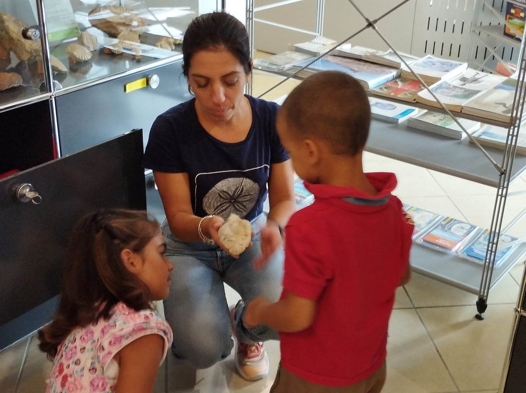 Museo Parc - Museo Paleontologico, Archeologico e Laboratorio didattico-Genoni必去景点