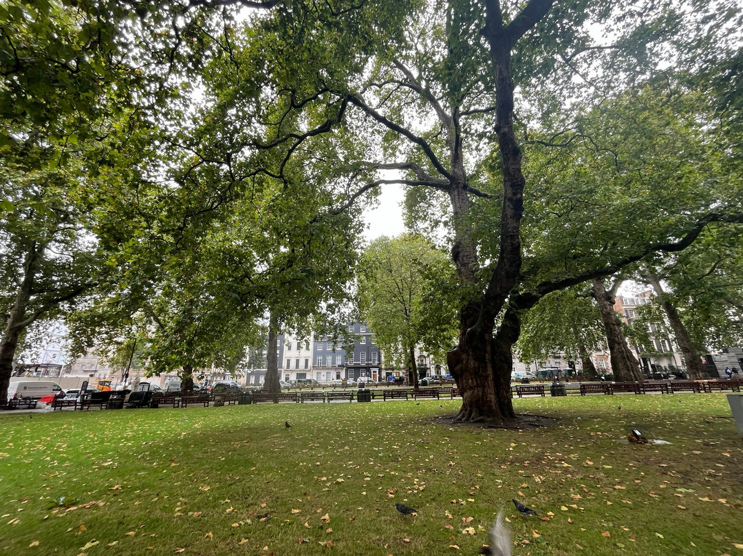 Berkeley Square-伦敦必去景点