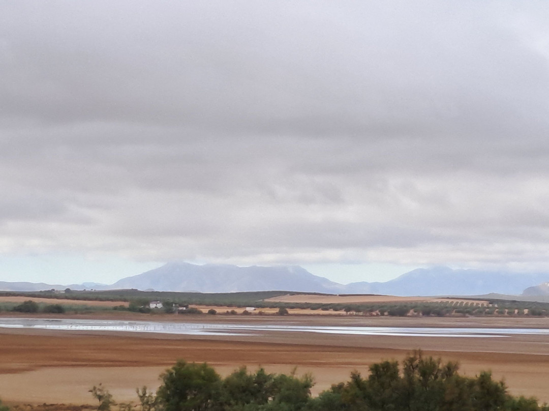 Laguna De Fuente Piedra-安达卢西亚必去景点