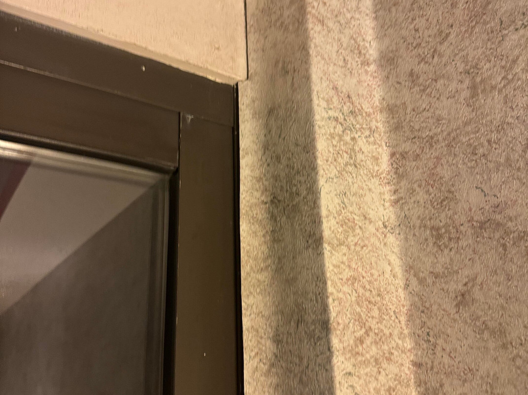 Best Western Plus Portsmouth Hotel And Suites主图