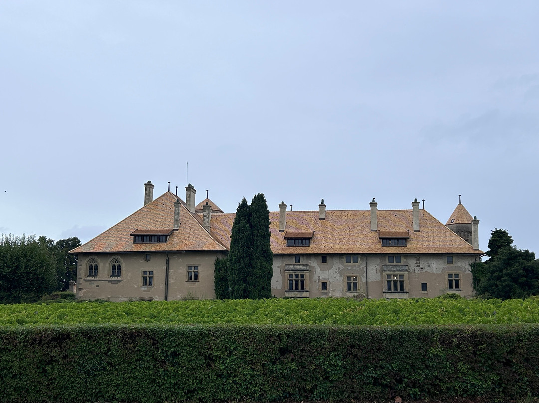 Château de Ripaille景点图片