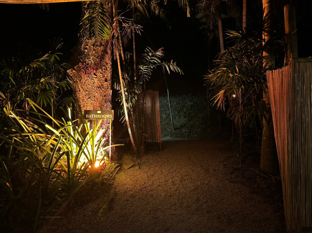 Flames of the Forest-道格拉斯港必去景点