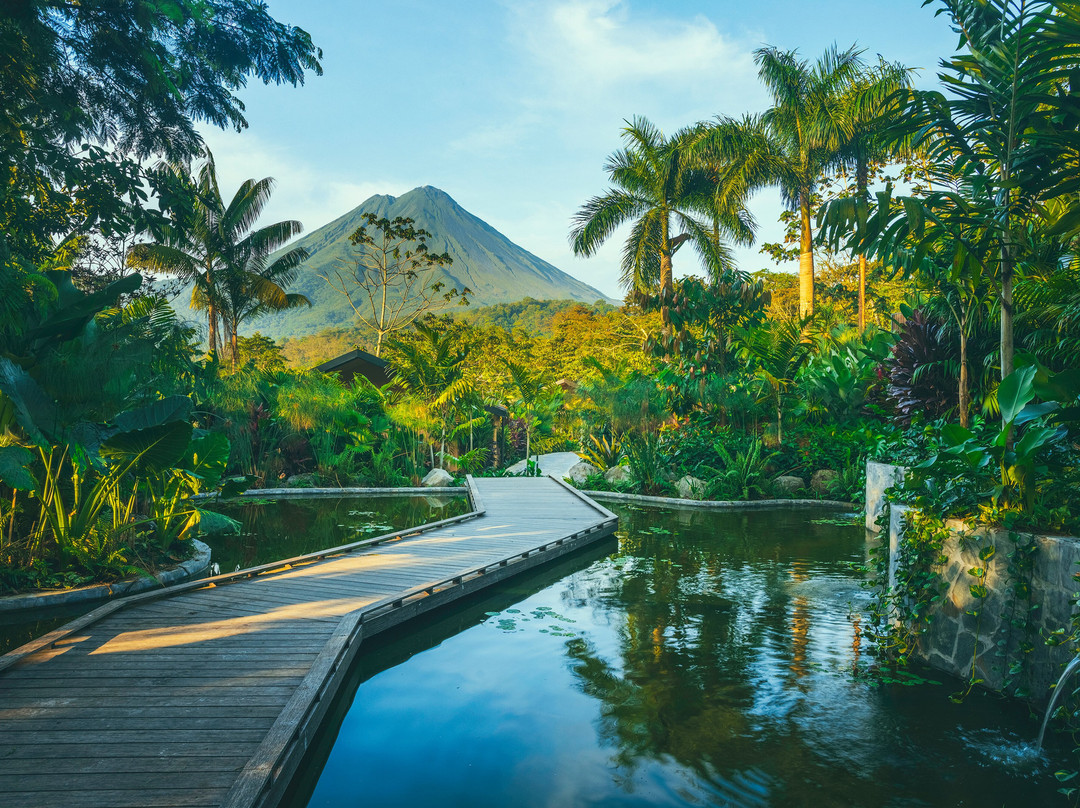 纳亚拉Spa及花园酒店