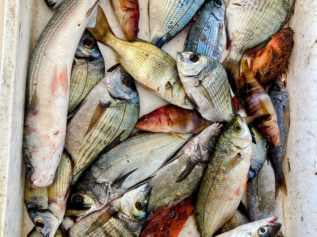 Pescaturismo La Barca dei Matti景点图片
